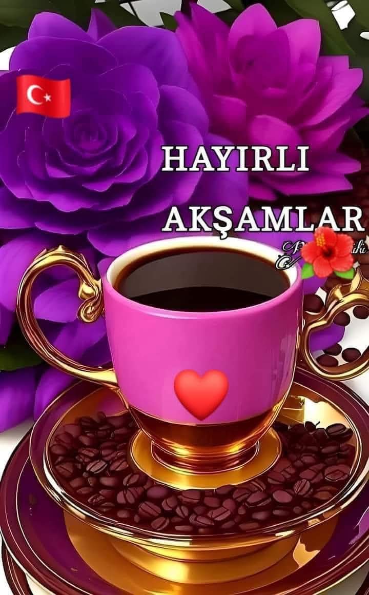 @güvenlik amiri Sami