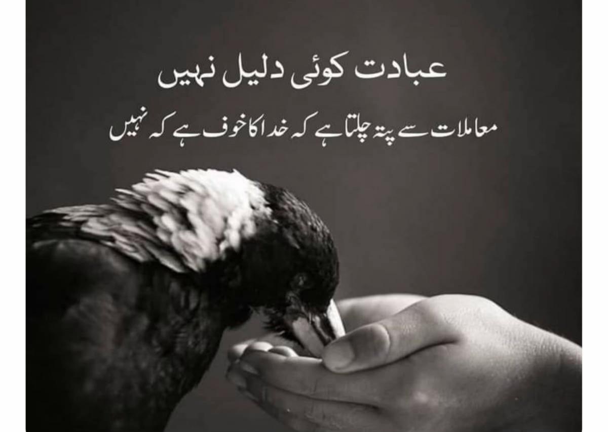 @Rehaan☑️