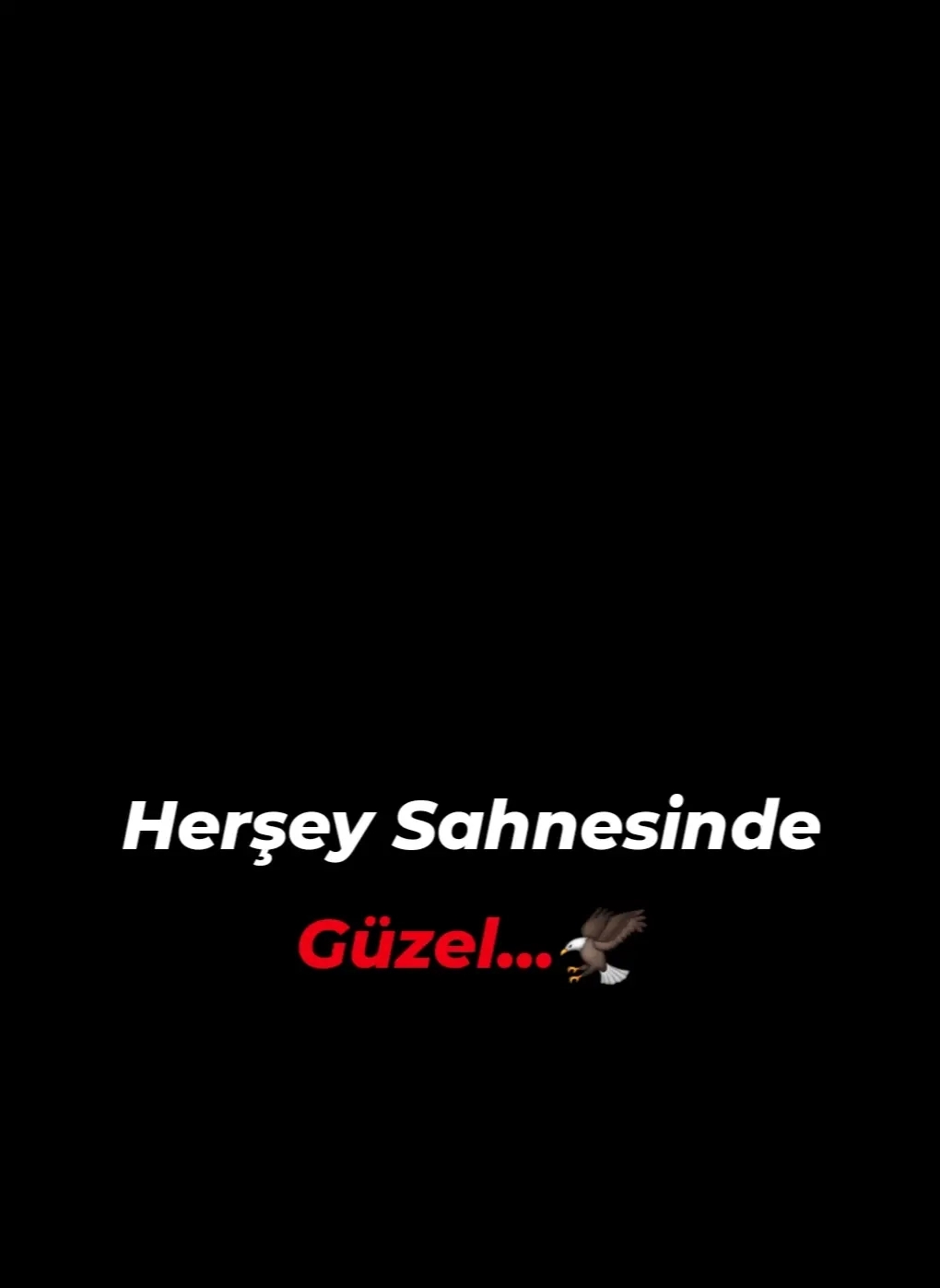 @Enes Teymur