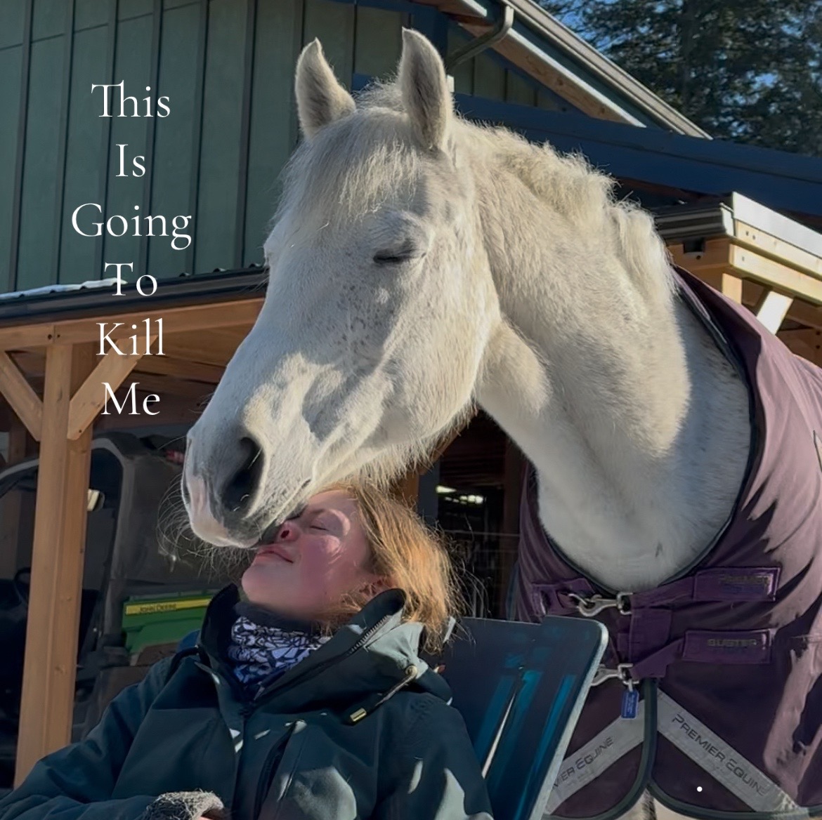 @Viv’s Ponies