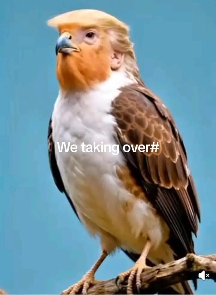 @RollingIsaac