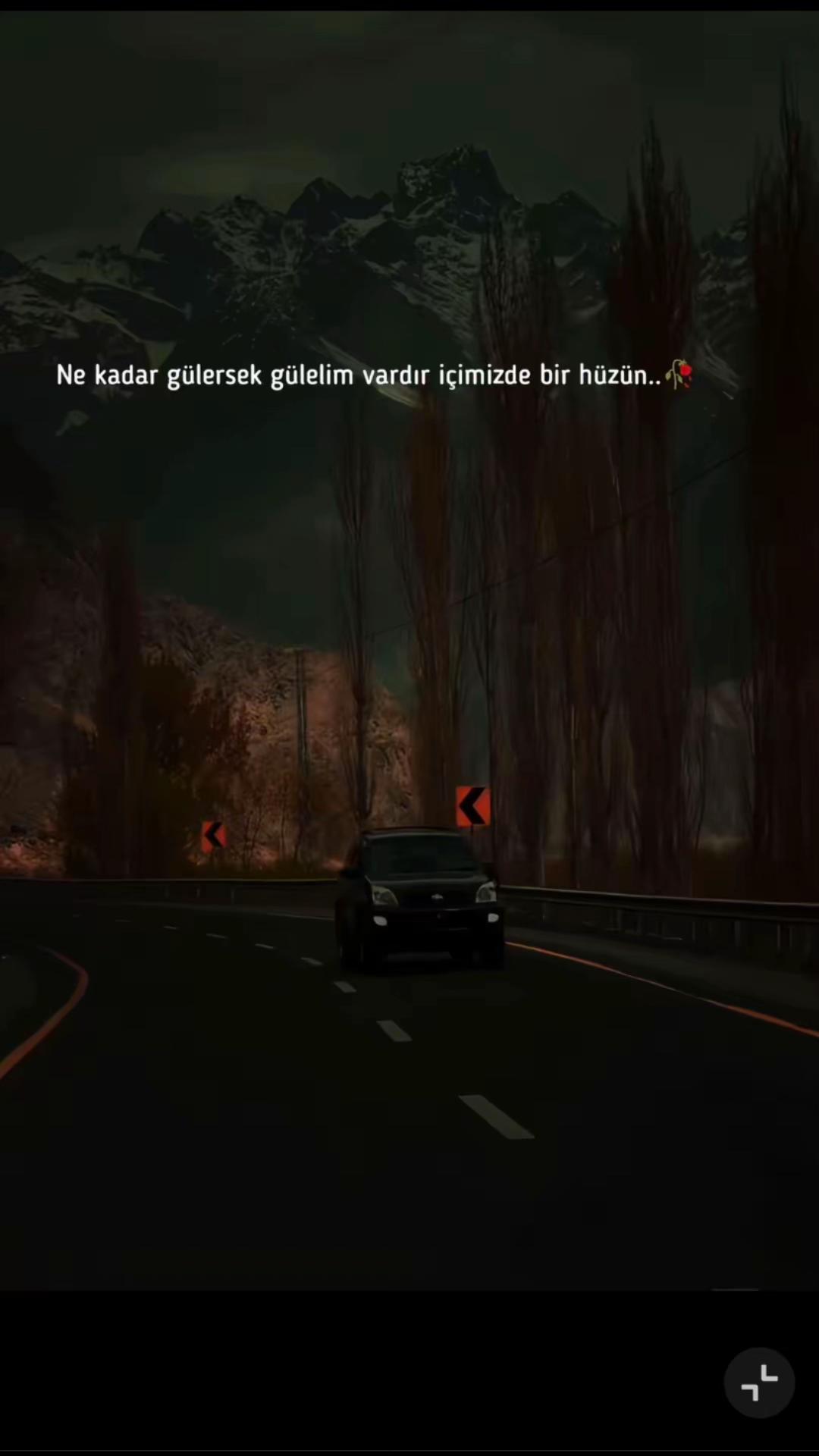 @Cansu58