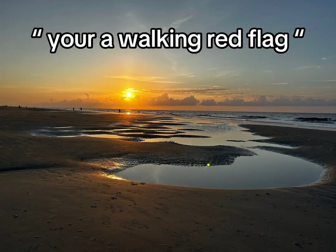@dutch_dabbles🇺🇸