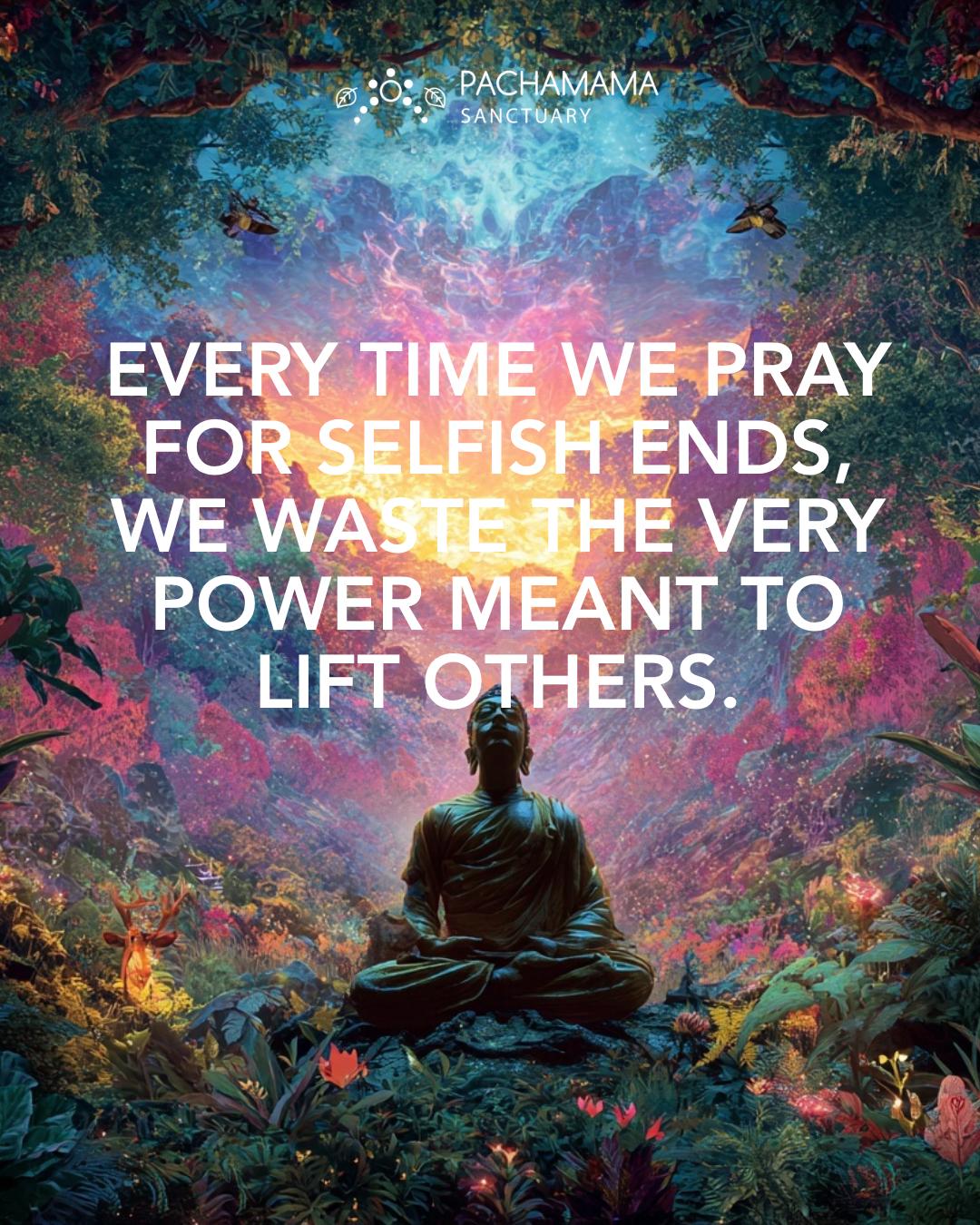 @Pachamama Ayahuasca Sanctuary