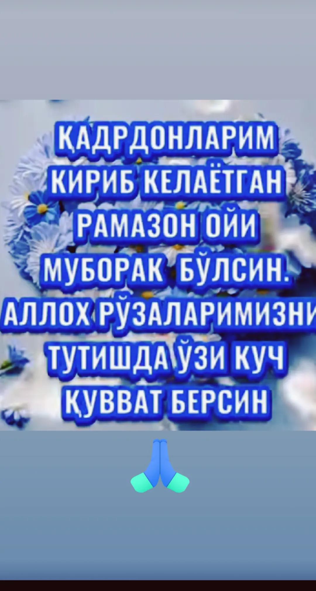 @ЗЕБО 24