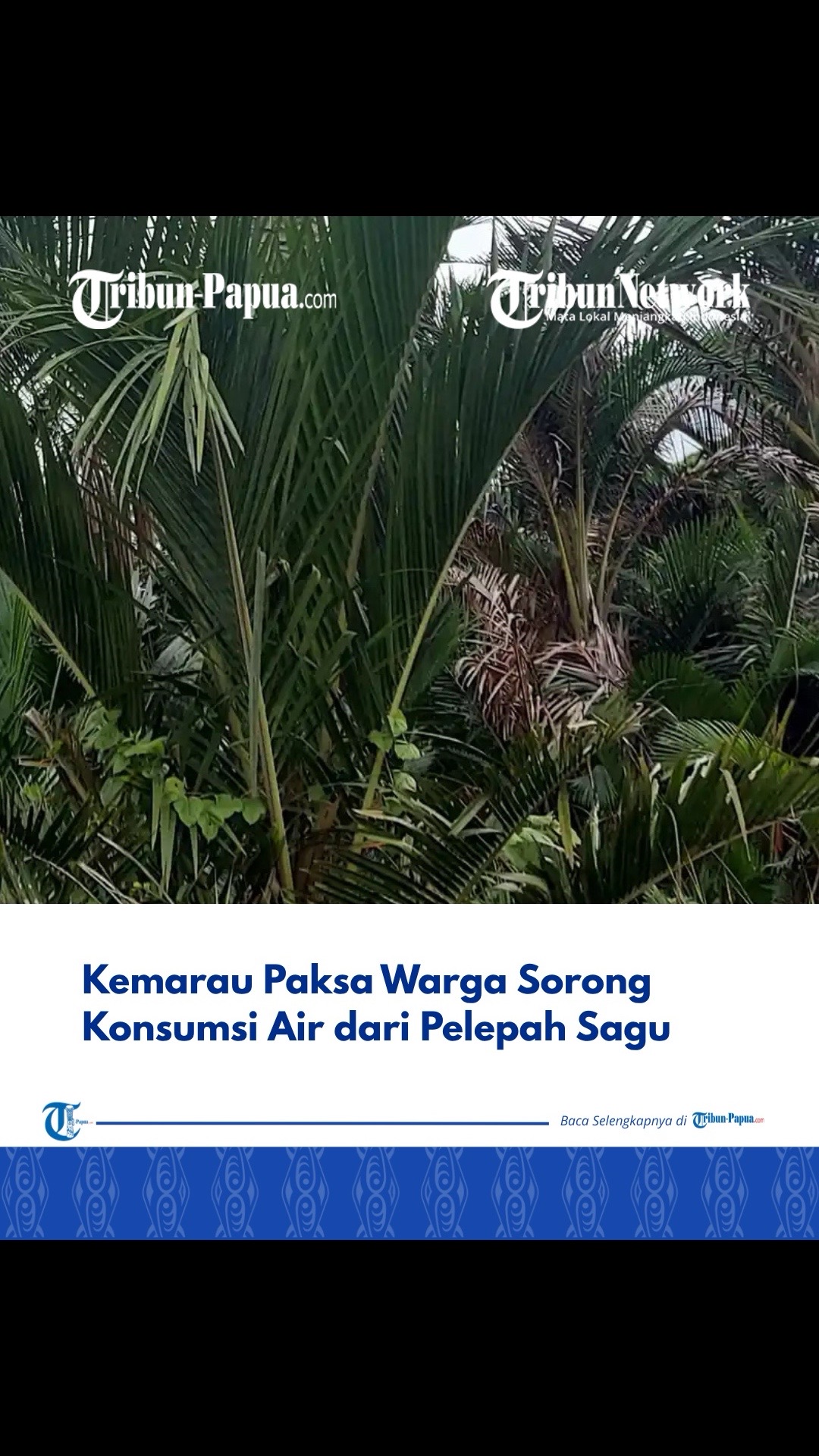 @Tribun Papua