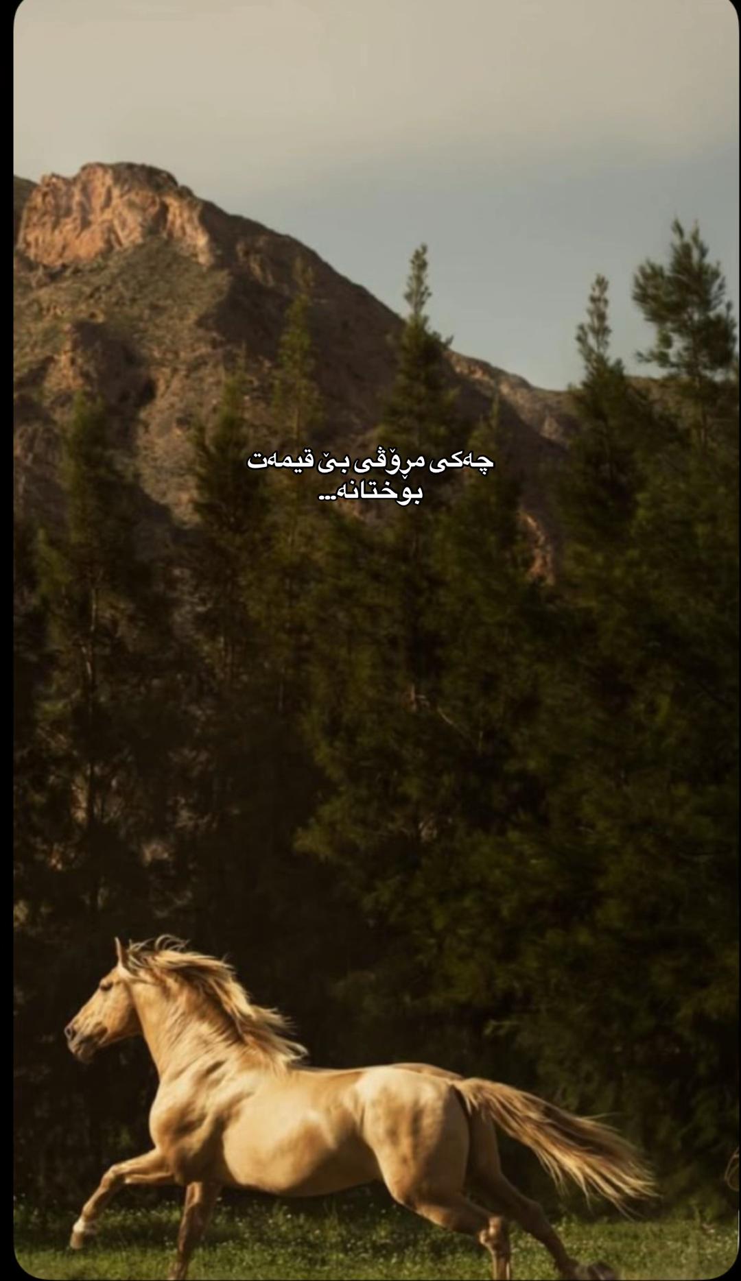 @Sahar