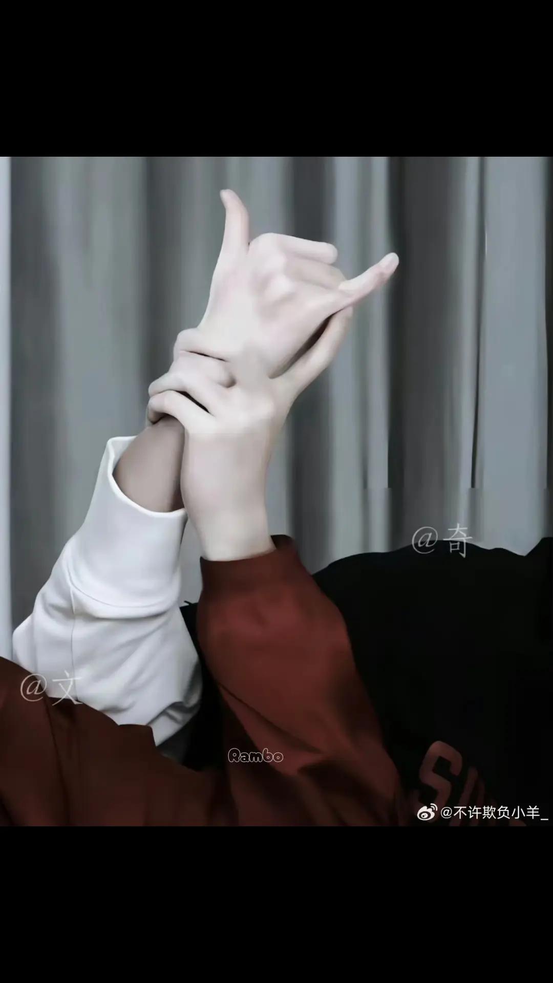 @โ
๐พTFๅฎถๆ้ฒๆ๐พโ
YANG