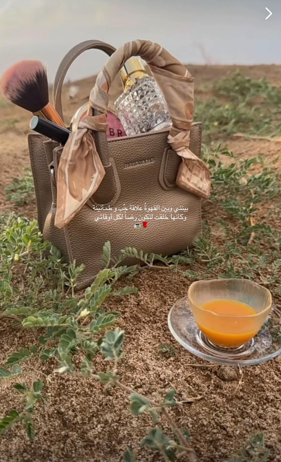 @شوق الشيباني 𓃴♡:
