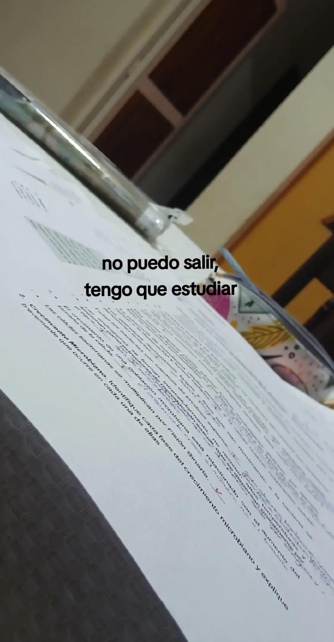 @Daiana Morales