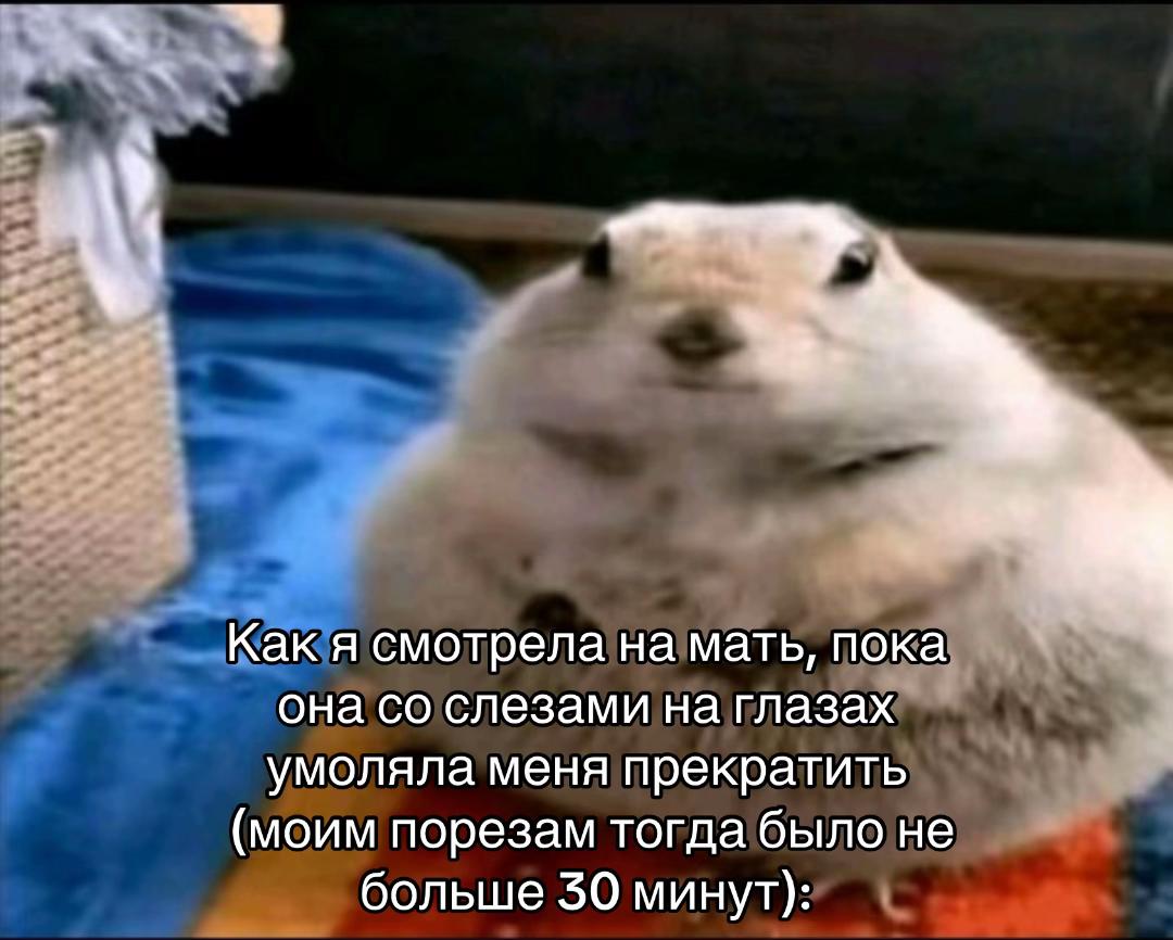 @Нытик