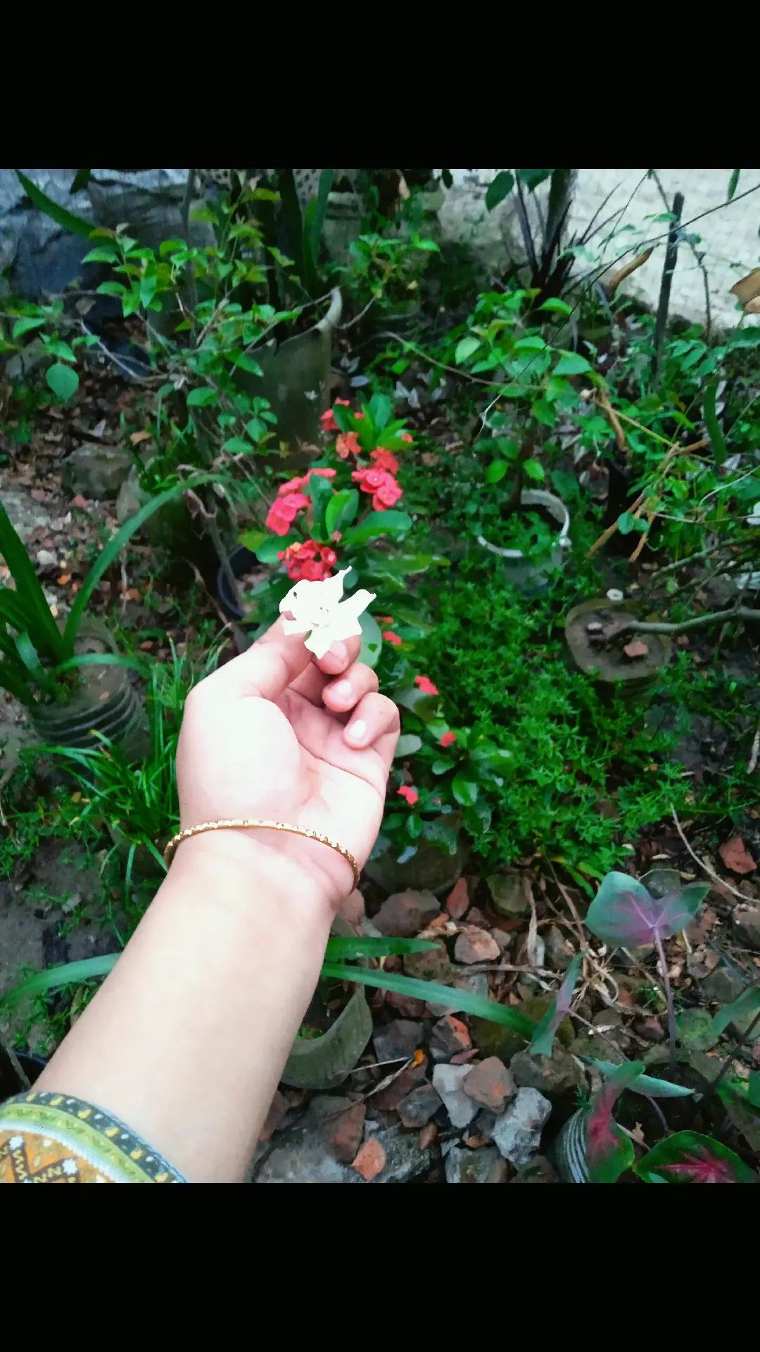 @&reg;&reg;__&reg;✨💌