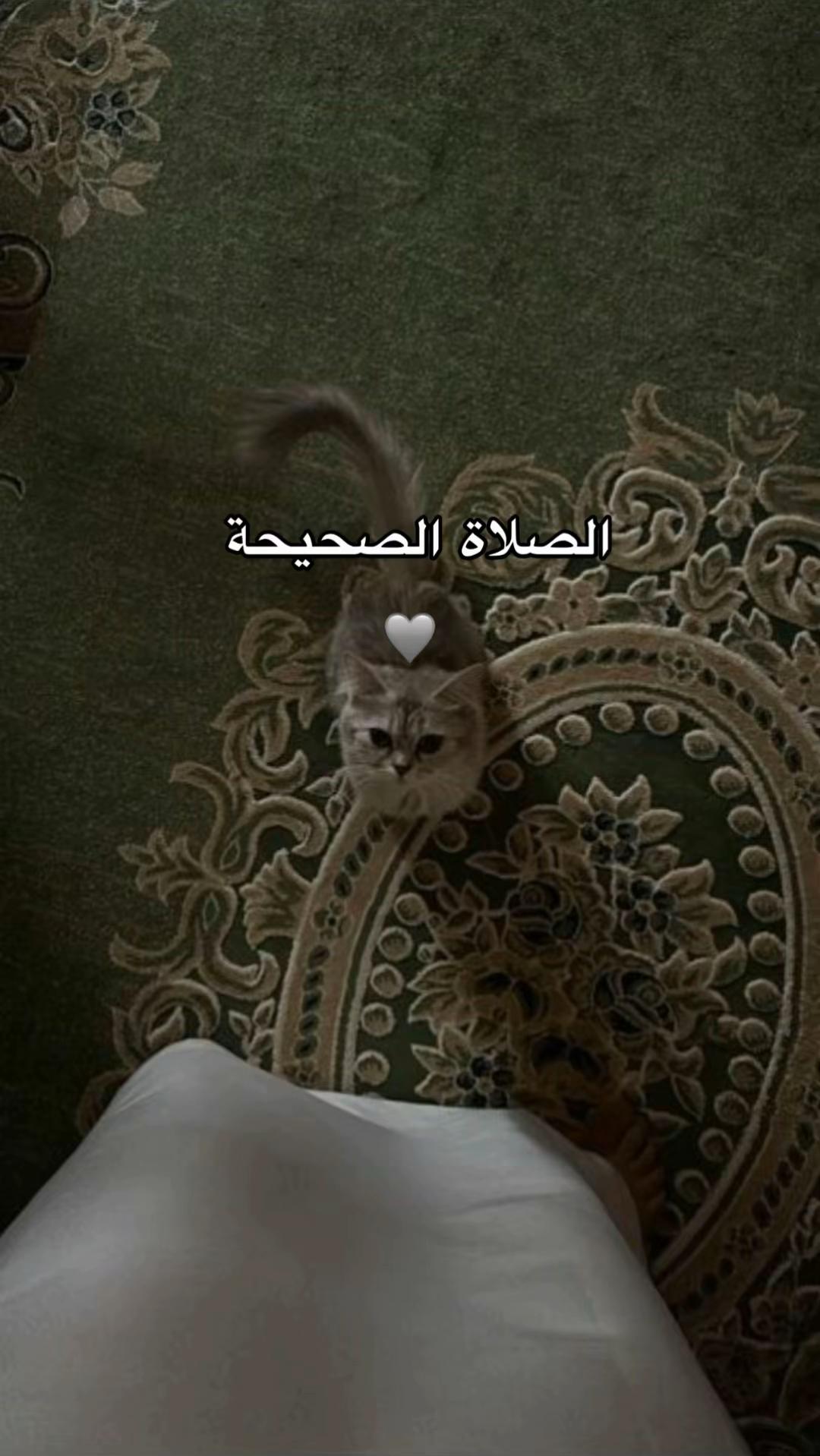 @ســيــلان|١٤٤٦🤍