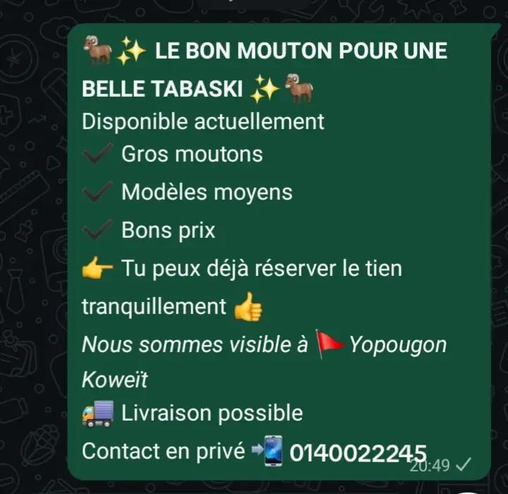 @Pr&eacute;sident DAOUDI