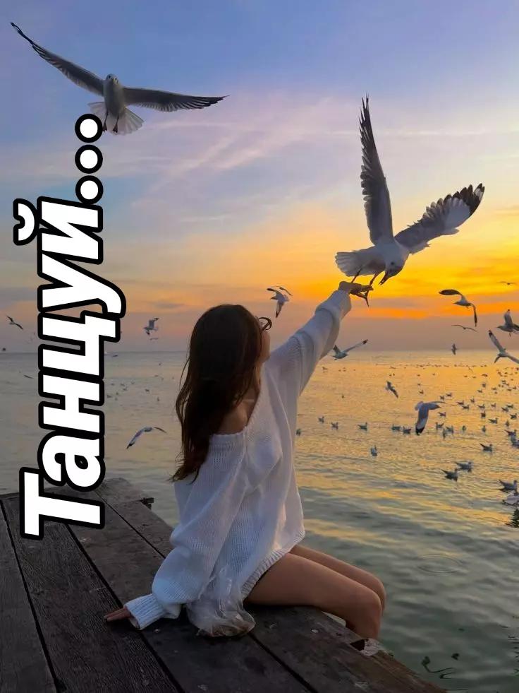 @SwetlanaSokolovskaya