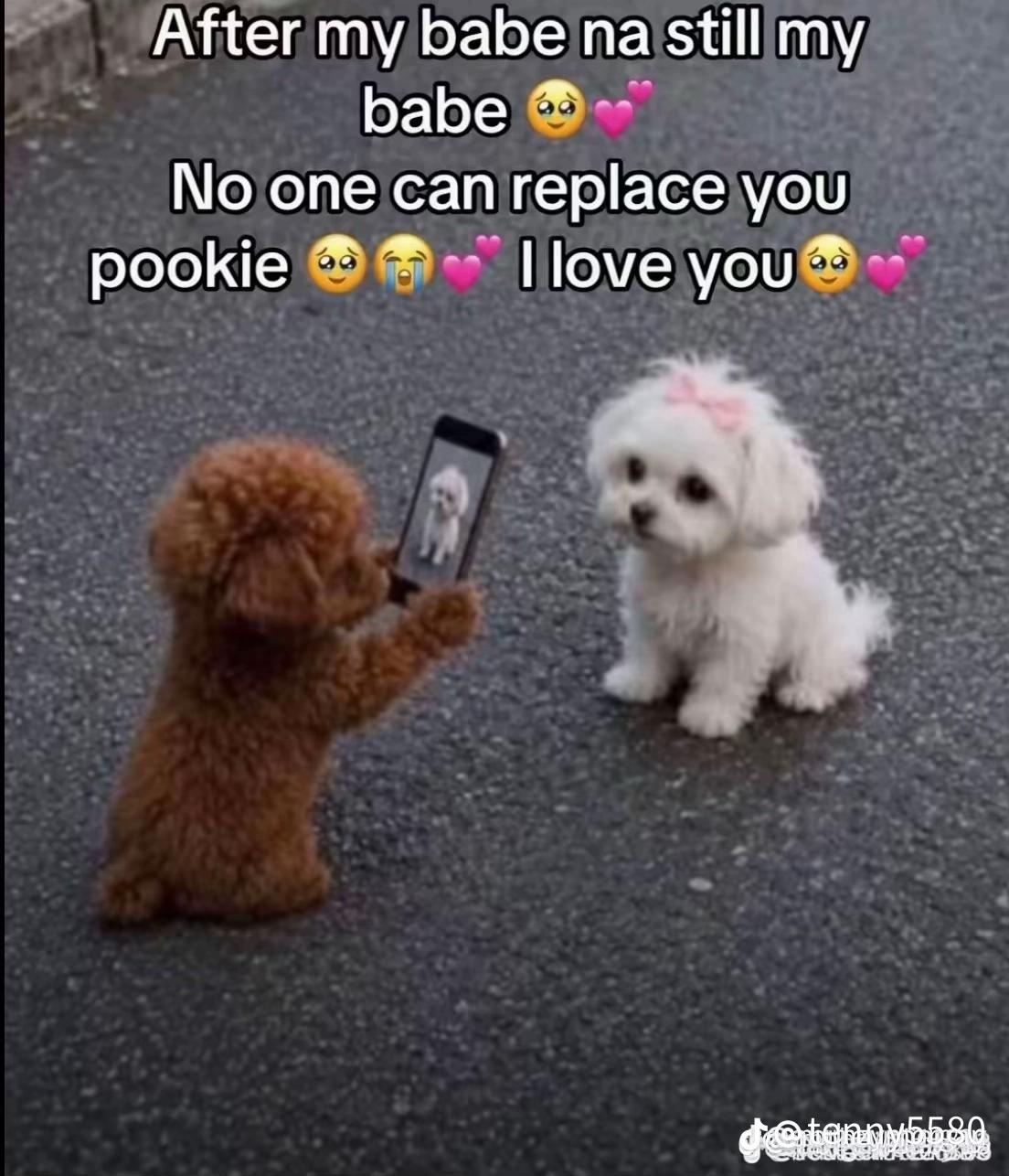 @Lucky girl 123