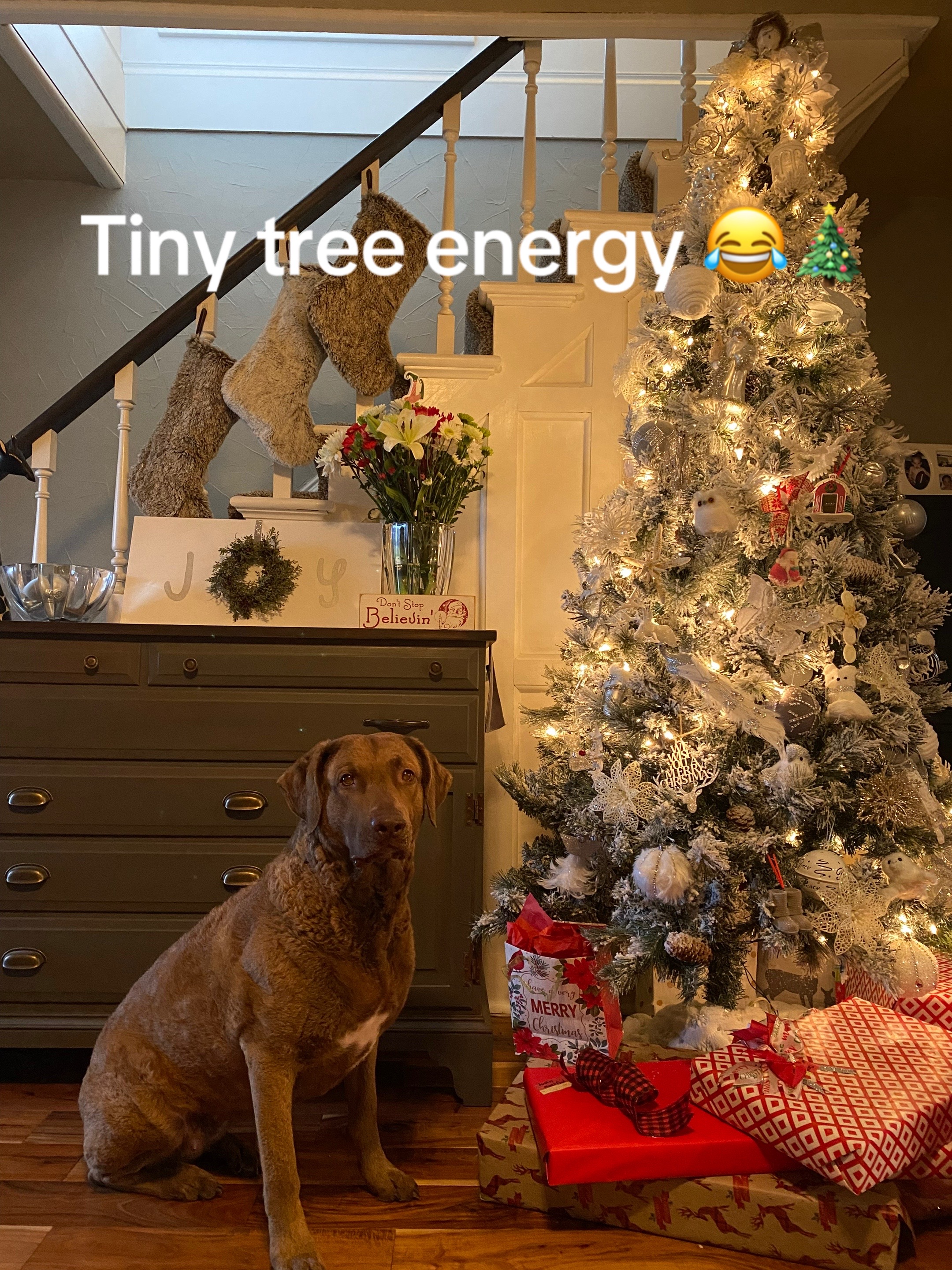 @BigBarnDreams