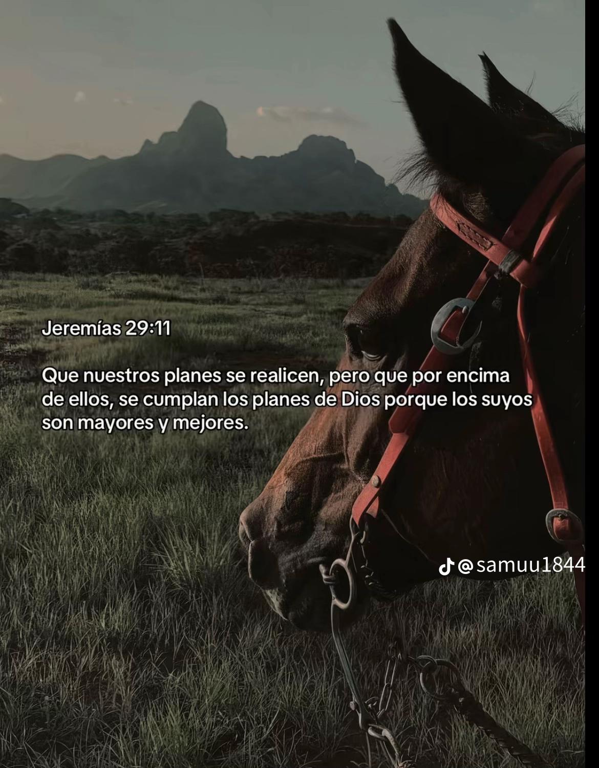 @Eljimmy113._