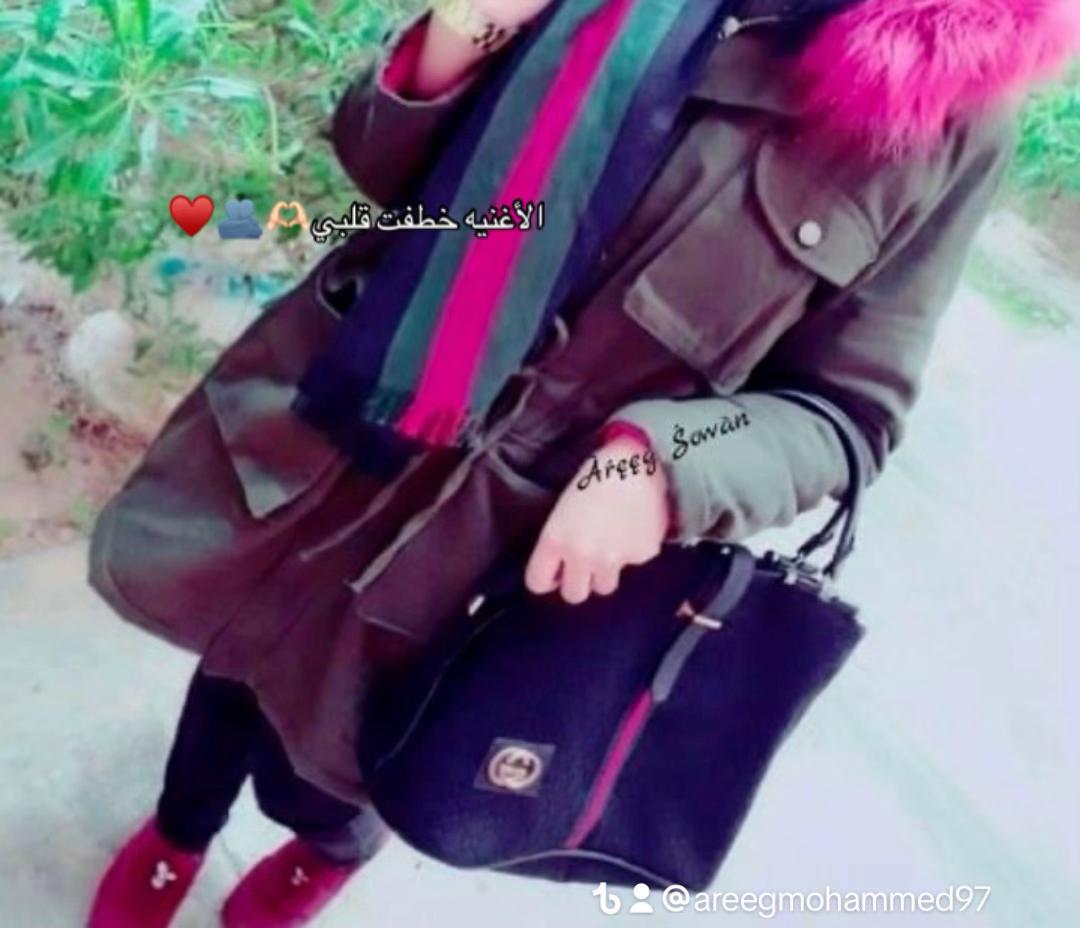 @areegmohammed97