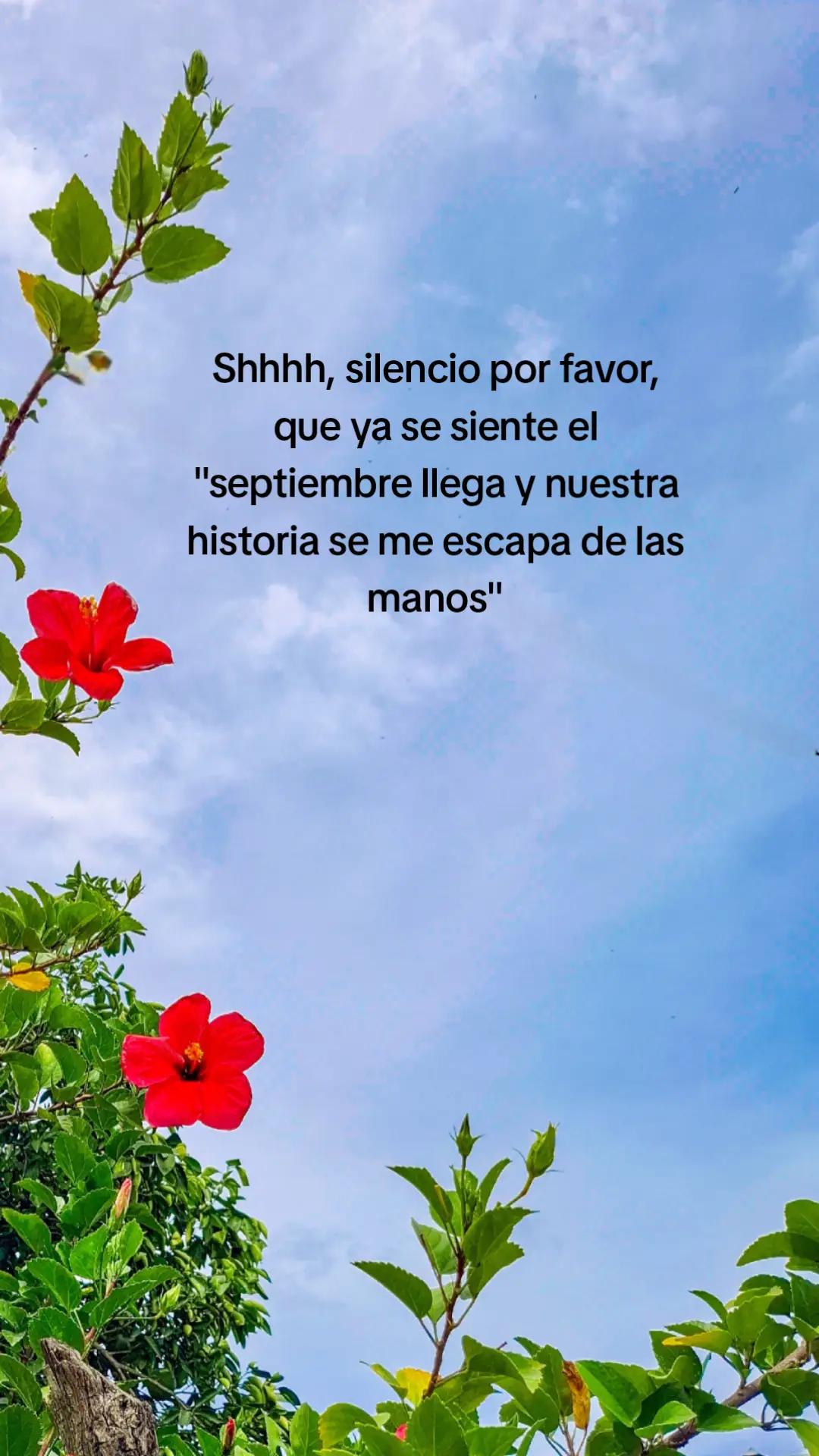 @Katya Criss Romero