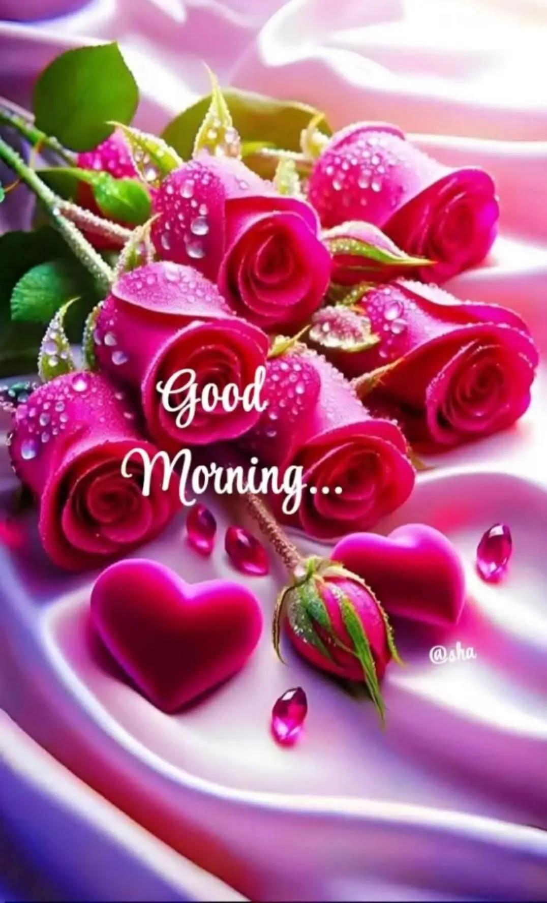 @꧁❤҉᭄🤸👀🌶️yaser🌶️👀🤸꧁❤҉᭄✳