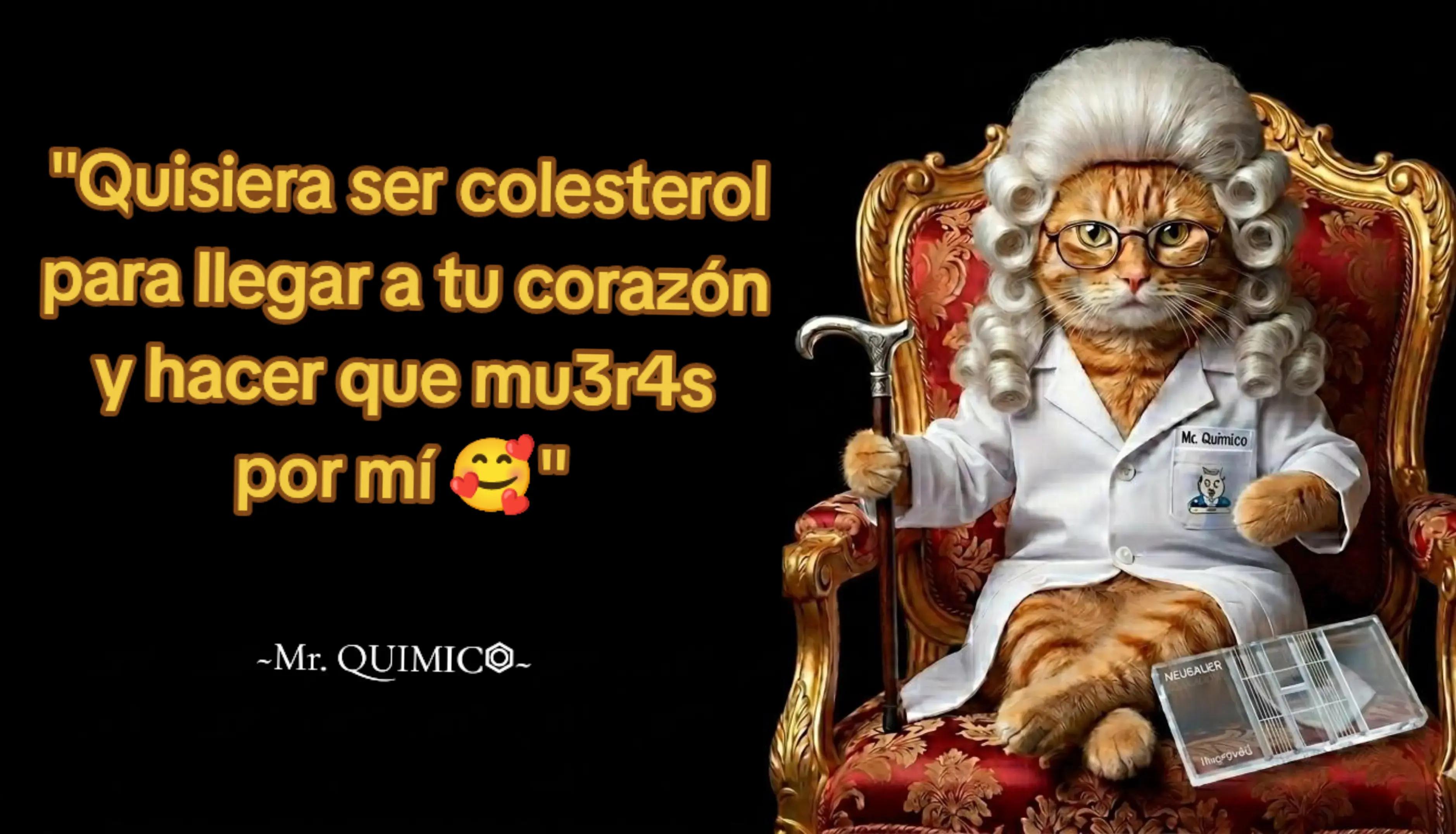 @Mr. QUIMIC⏣