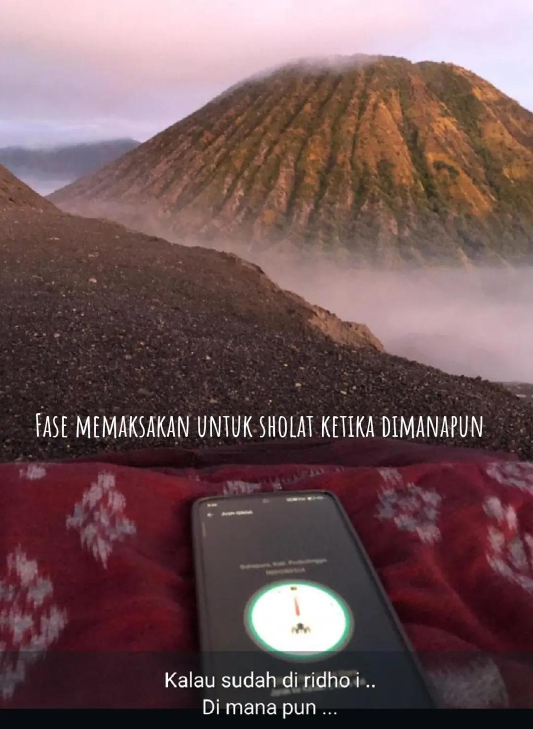 @transbromo