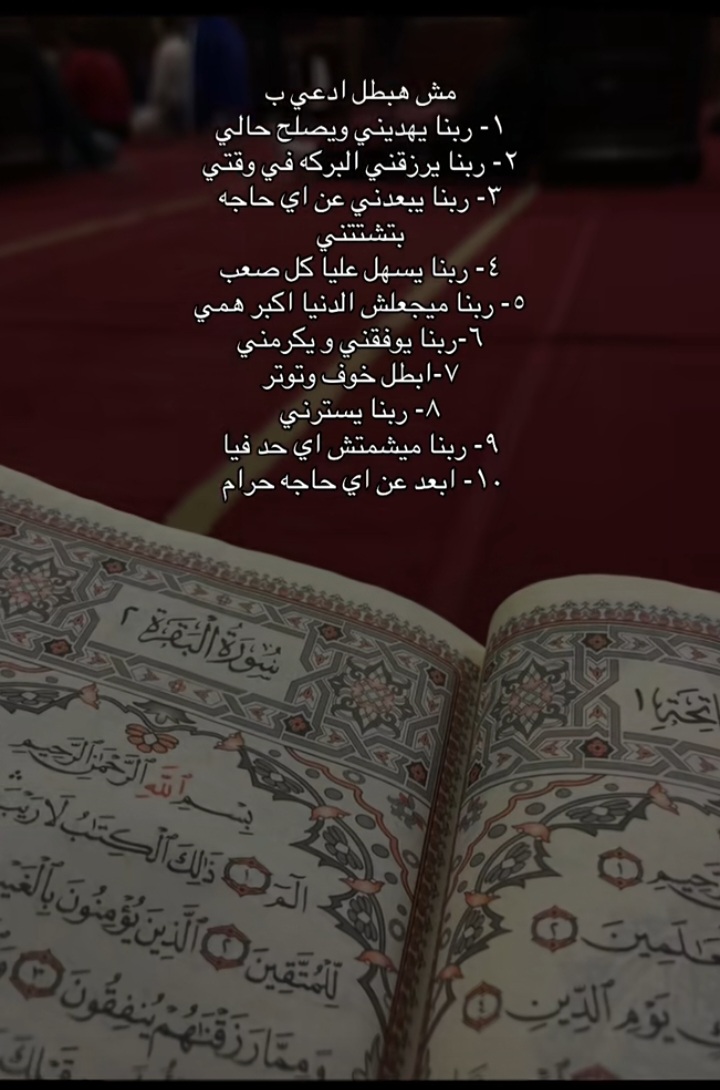 @Dina Diab
