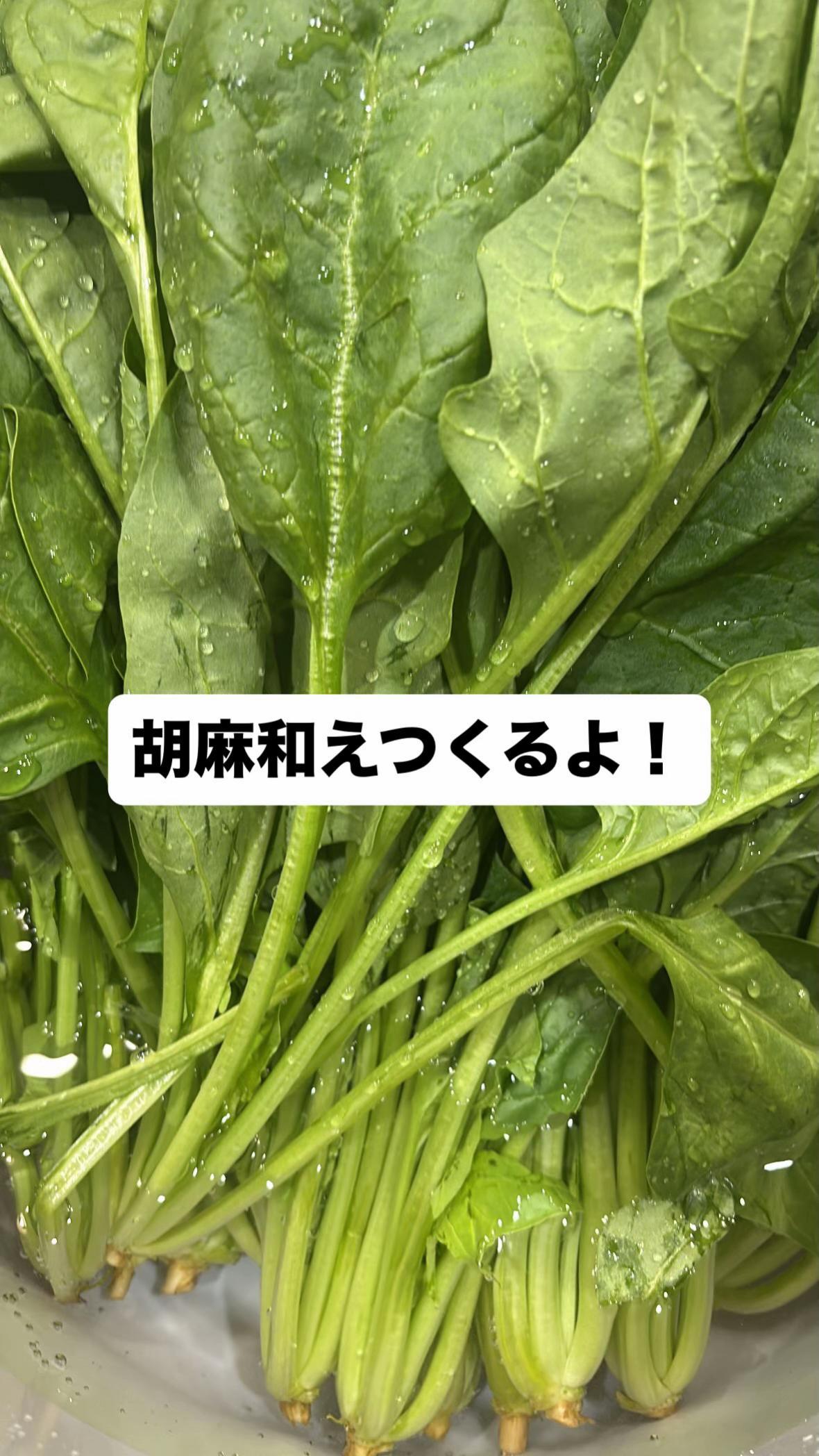 @おばんざい屋Place(名古屋1人飲み/名古屋グルメ)