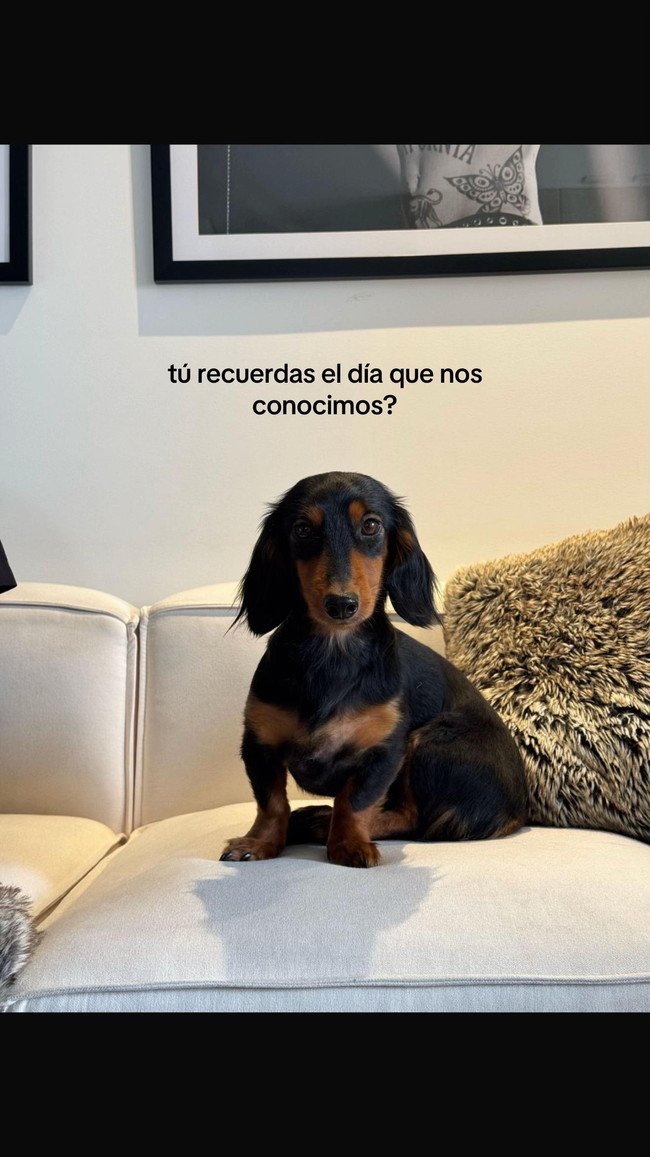 @Daniel Diossa