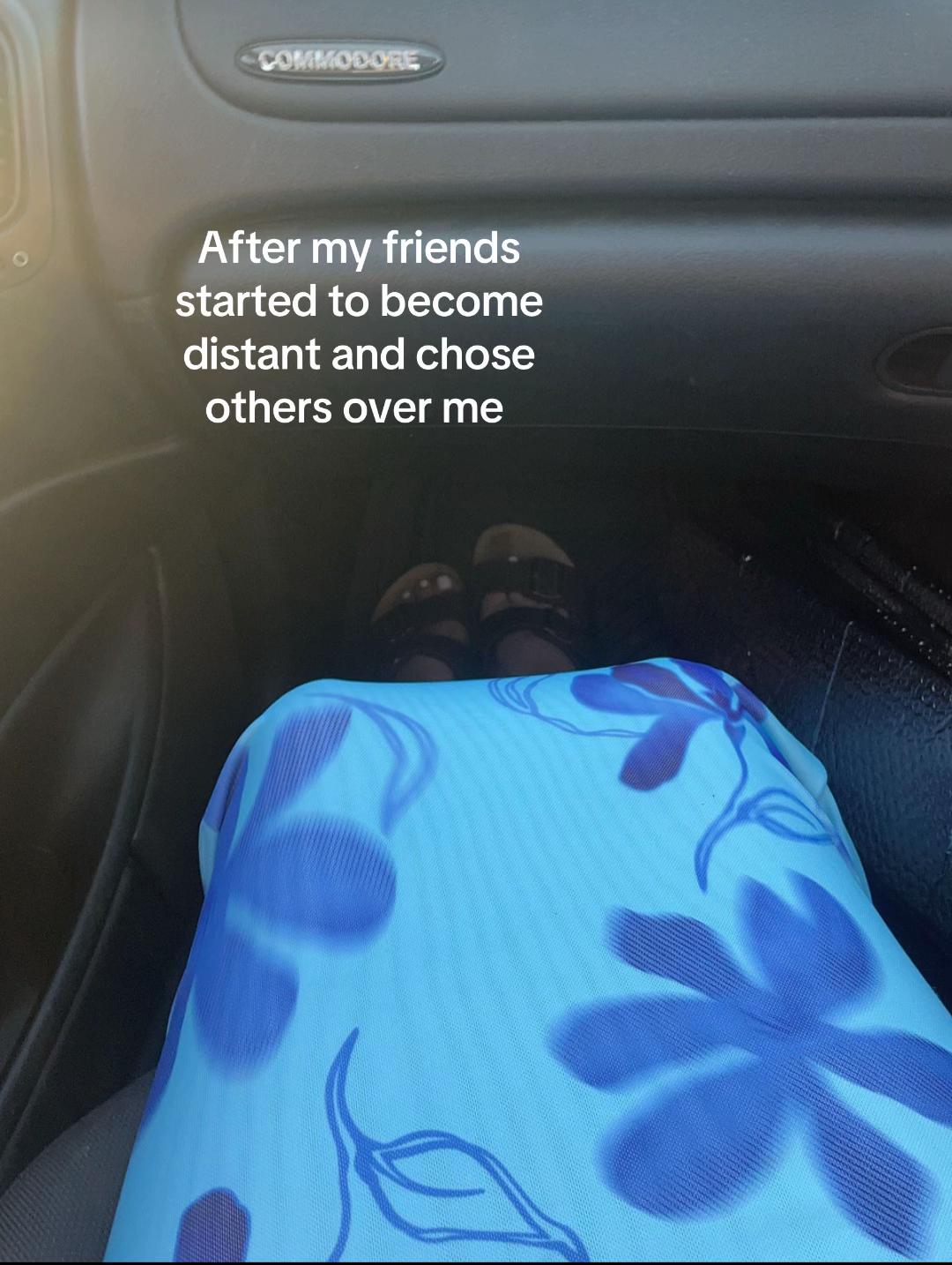 @🐨
