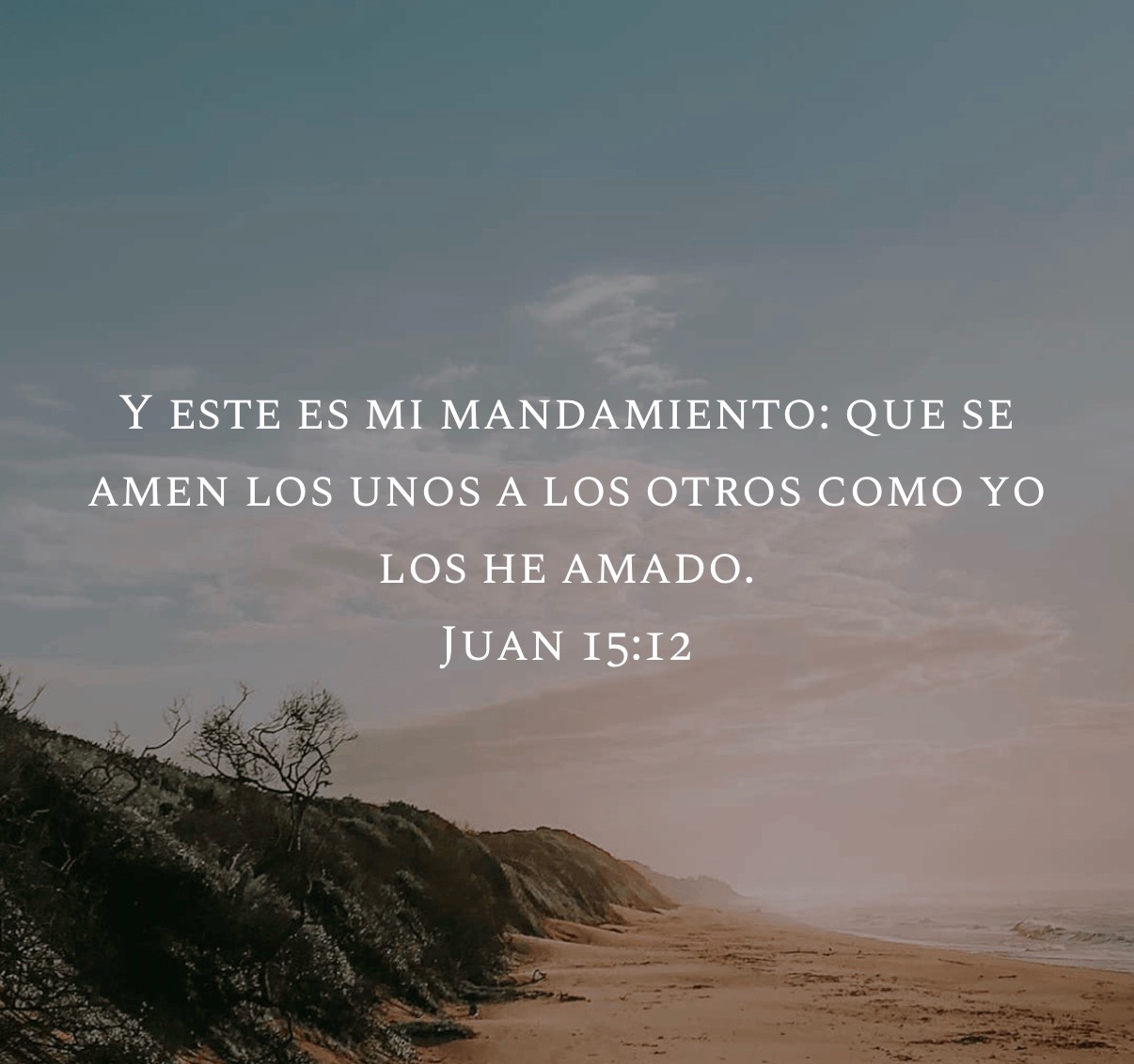 @Mercy Grace