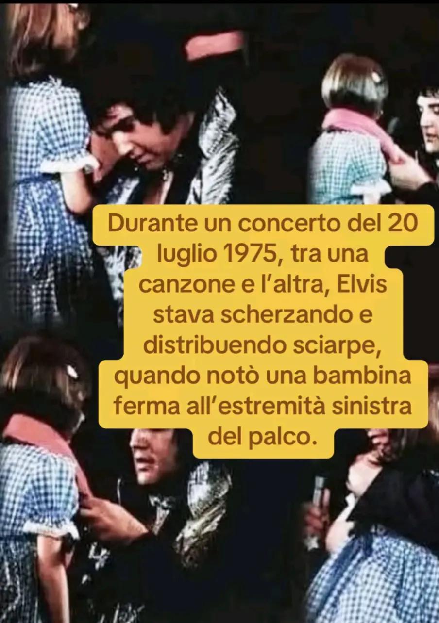 @Vitoo