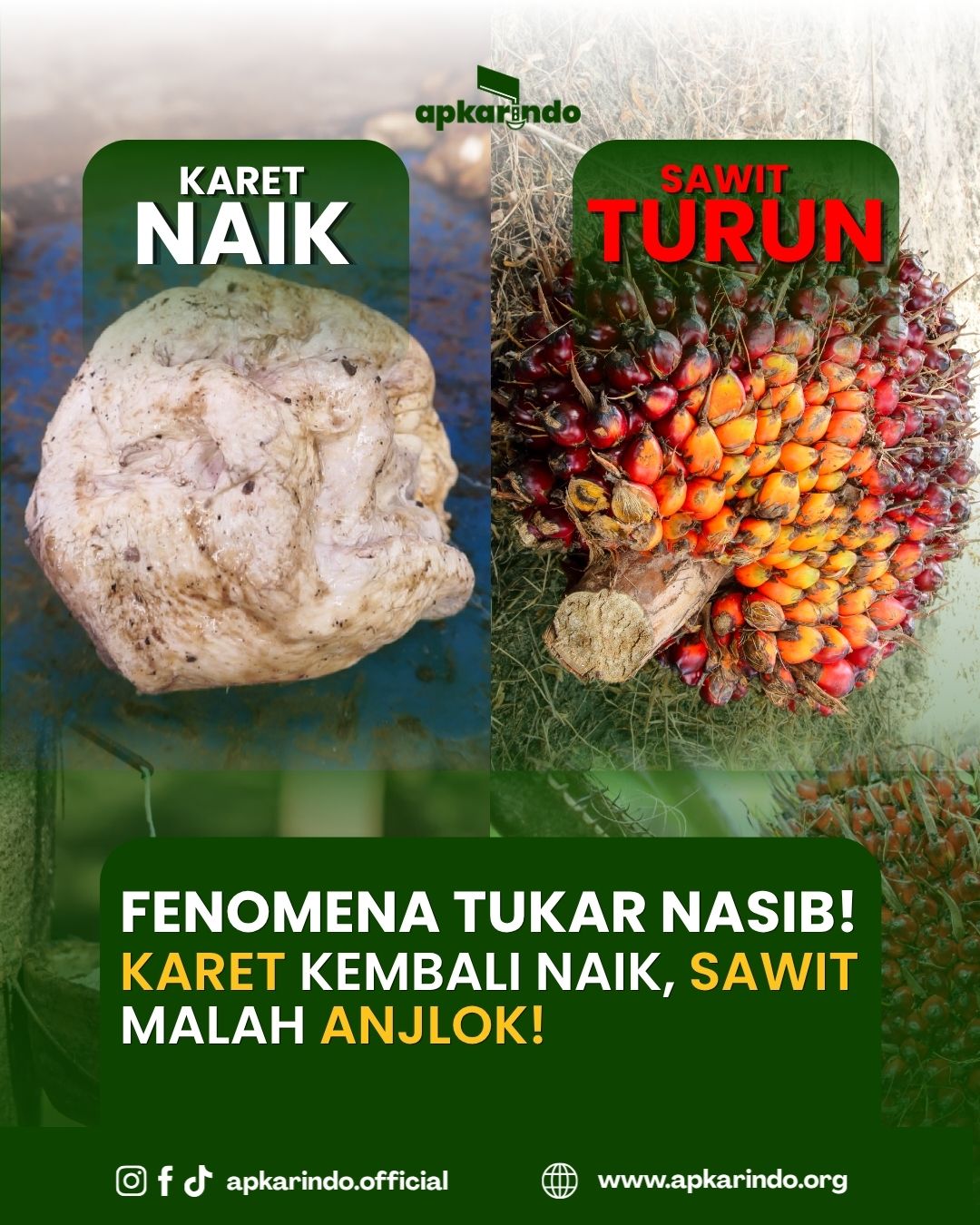 @APKARINDO Official