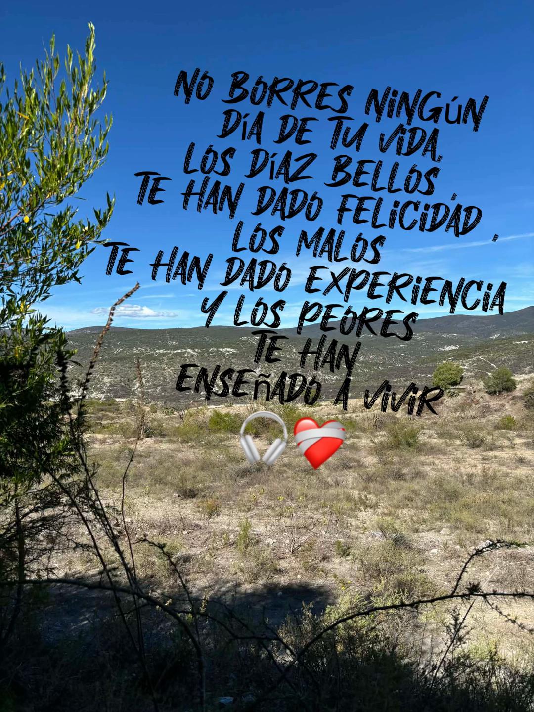 @Lilis Ortiz