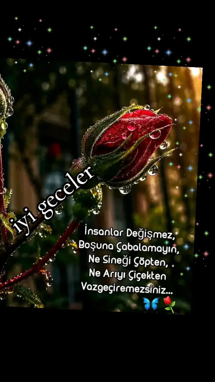 @🇹🇷Yasemin 01 35🇹🇷