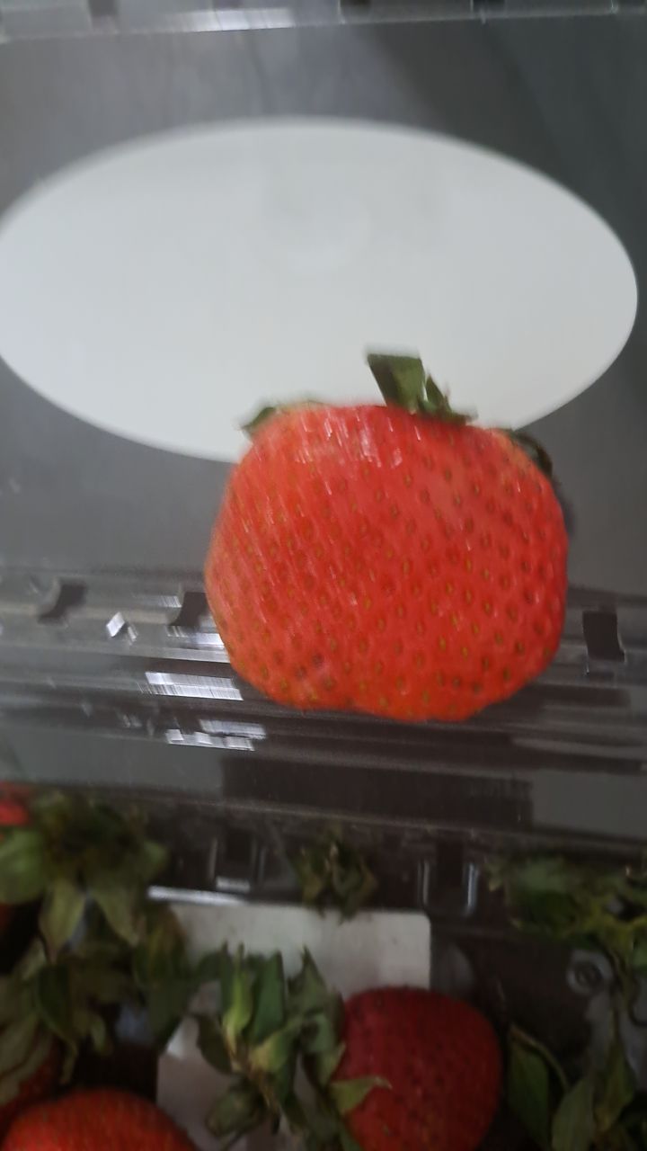 @Fruit