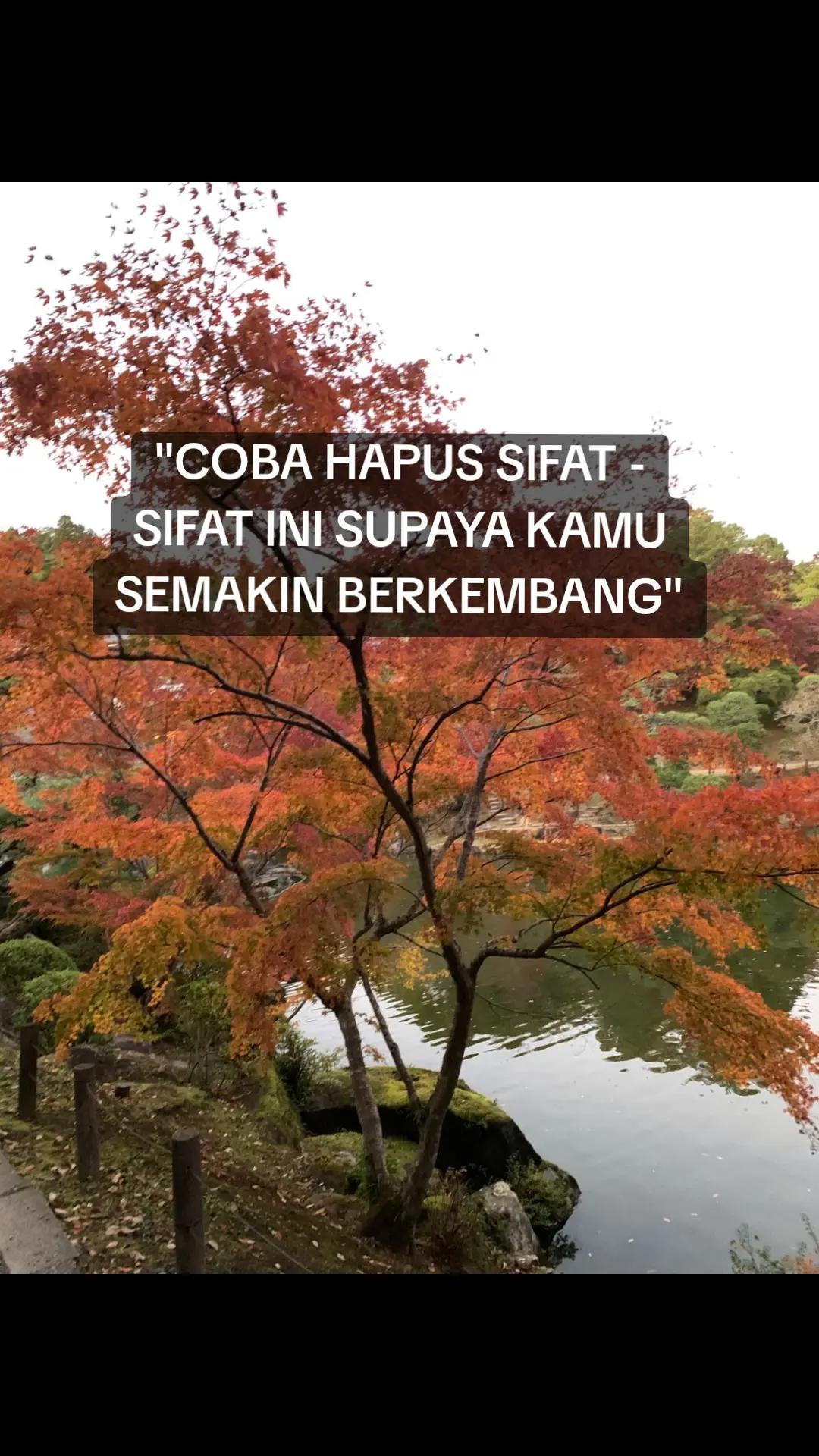 @𝐌𝐨𝐦 𝐃𝐢𝐲𝐚𝐡
