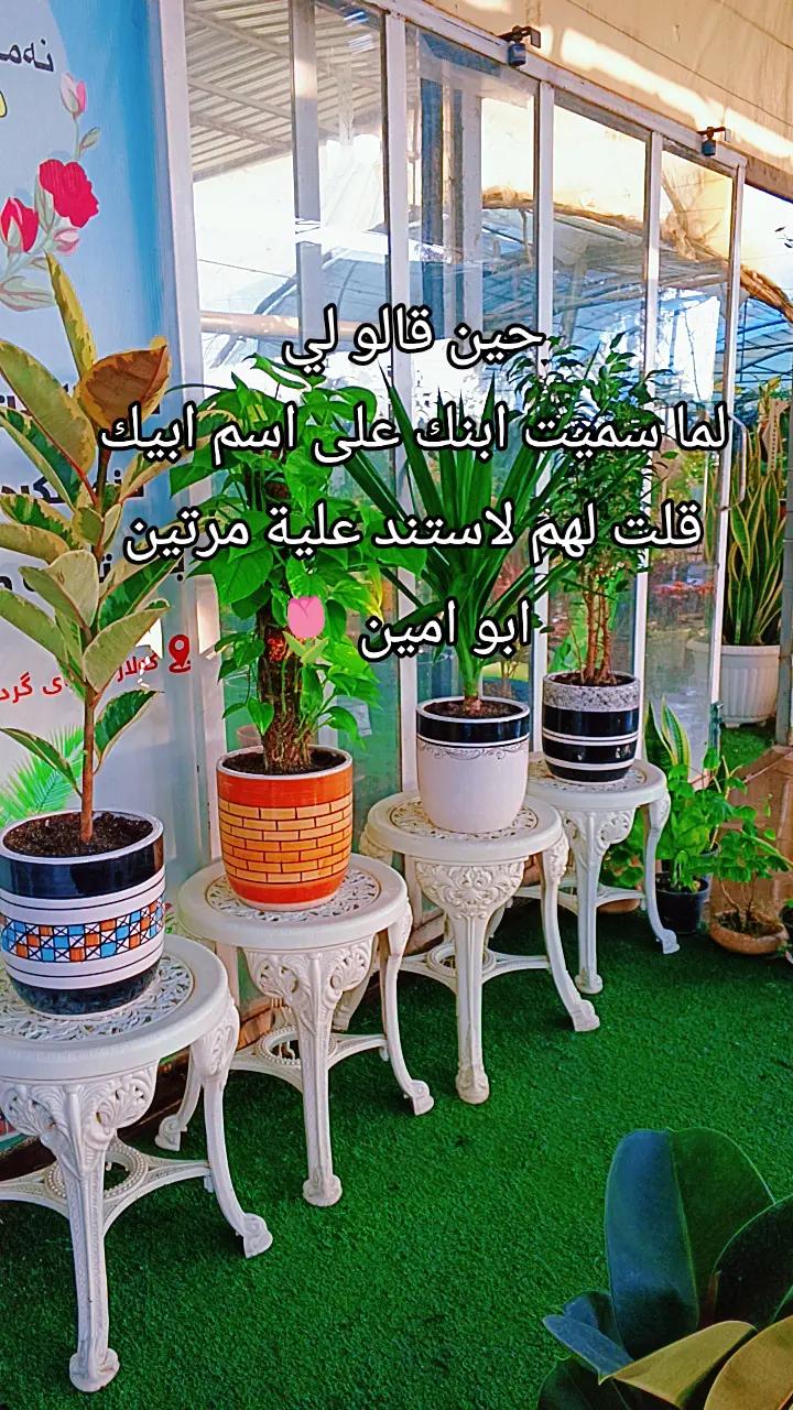 @🍂گوردسـتآنيـﮯ✨ عمـر 🌺