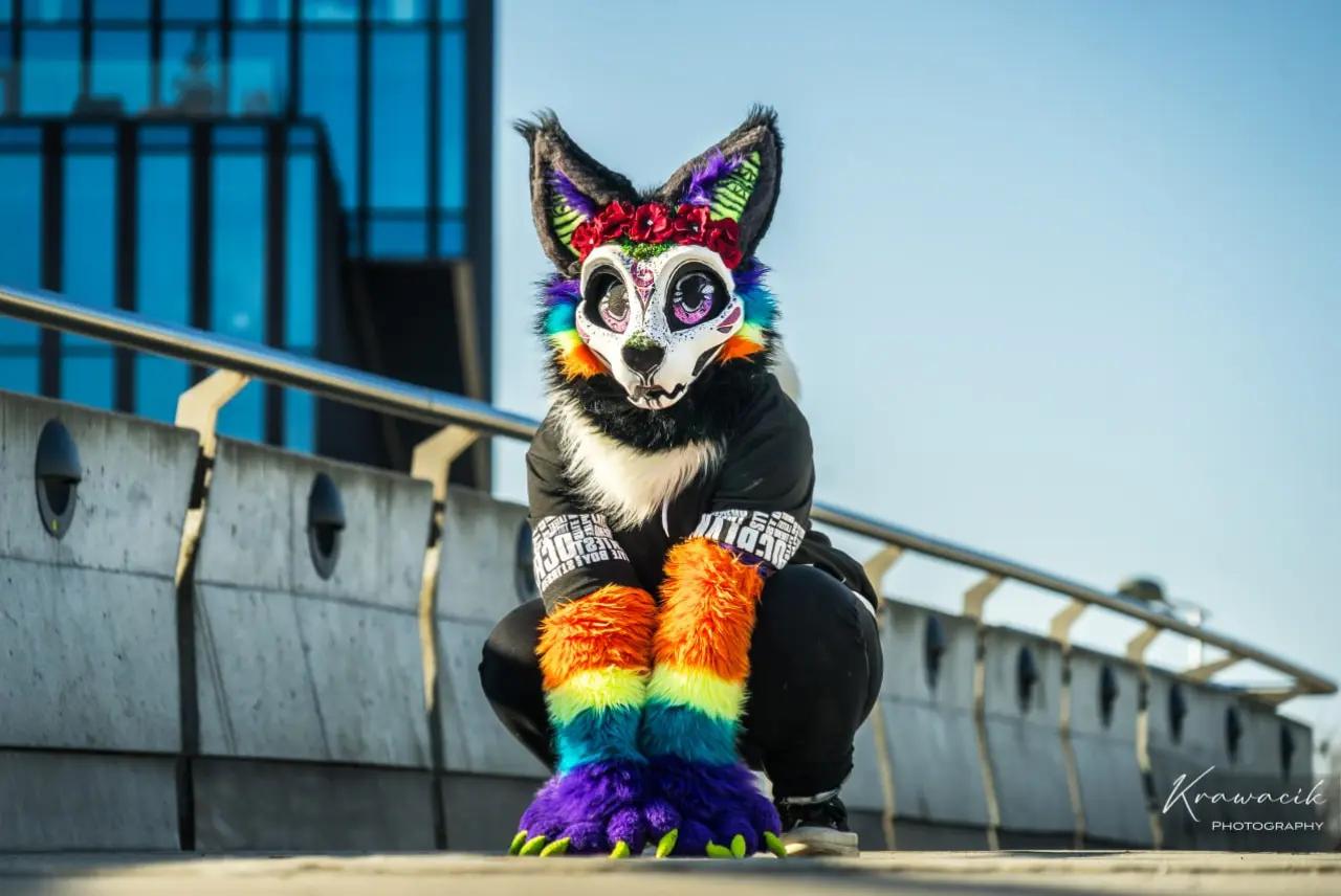 @Krawacik Panda