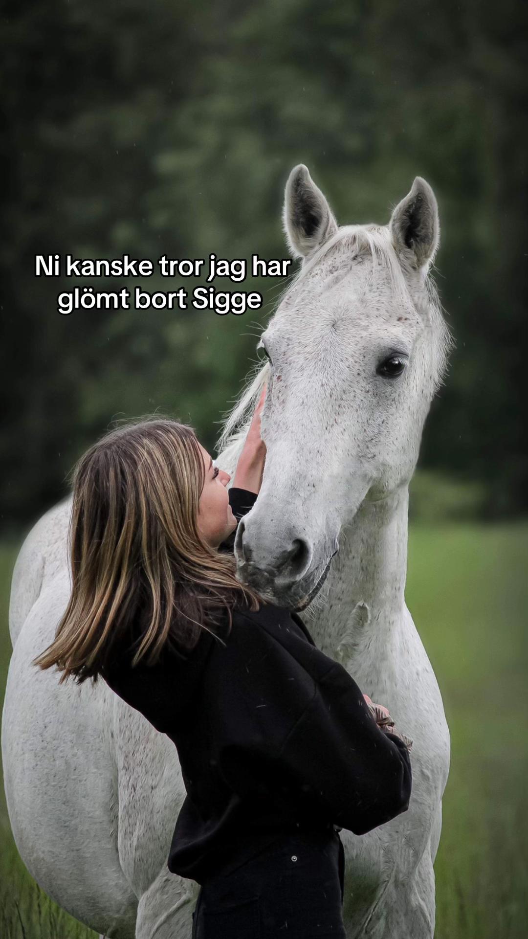 @Tilde Ängerud💗