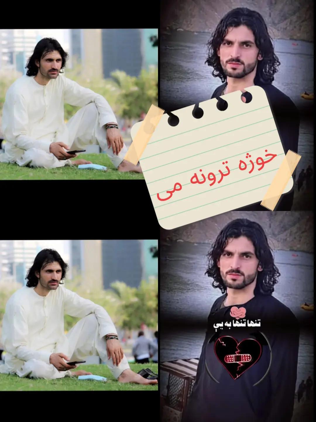@Arman Phasha