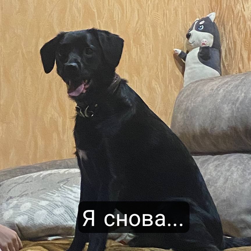 @Кейтер, к вашим услугам