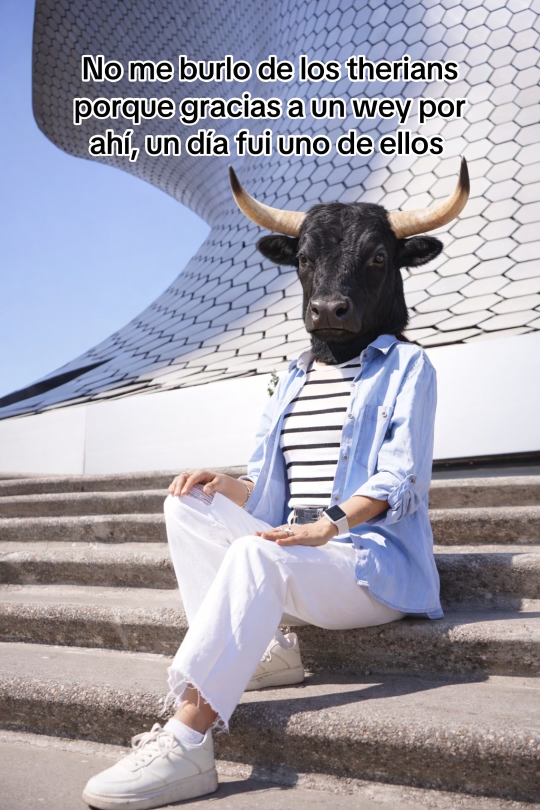 @Sheshé