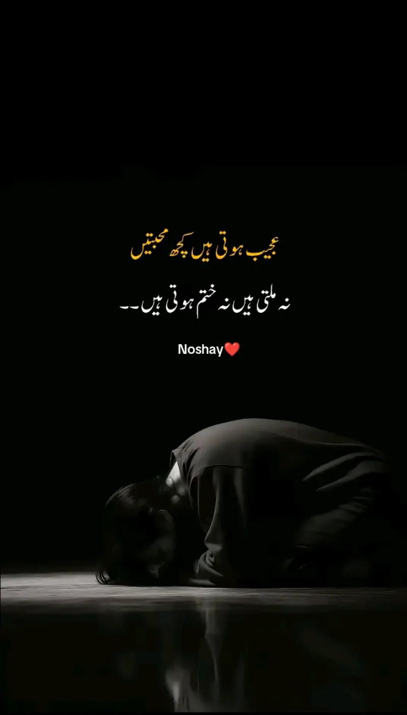 @Noshay❤
