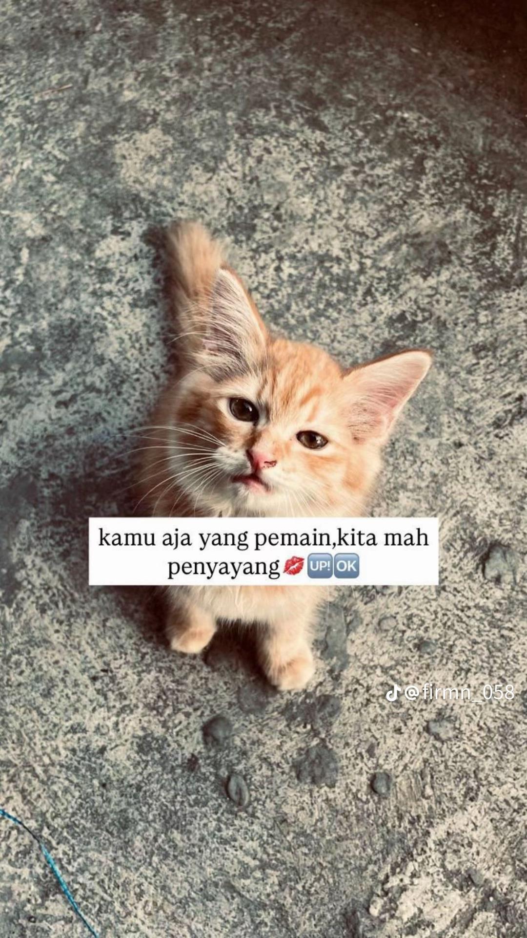 @Hasbi