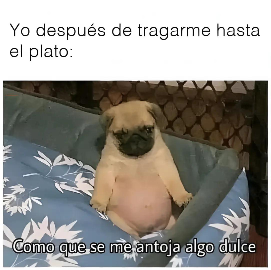 @Alejandrosantos17