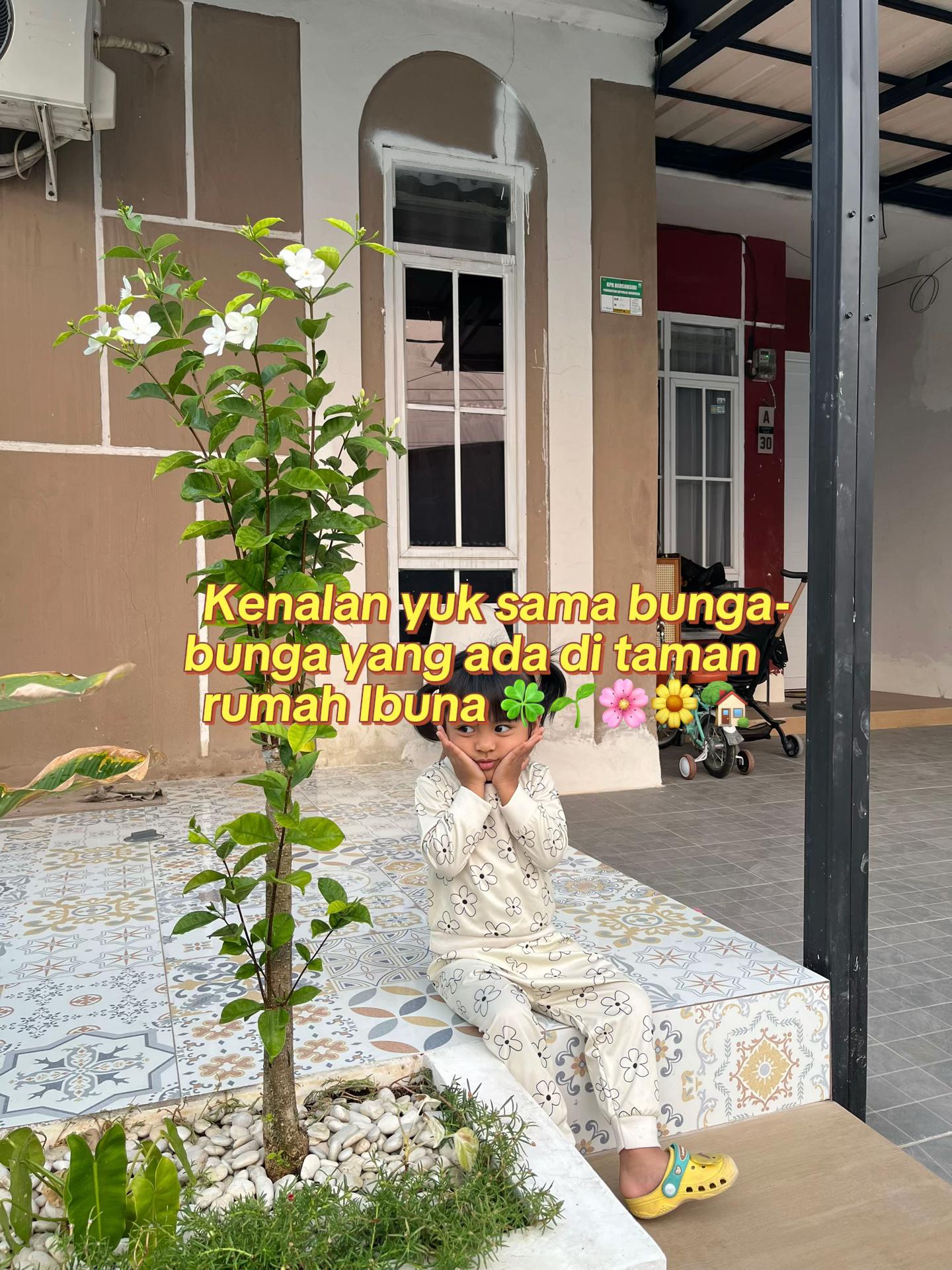 @Ibuna🏡