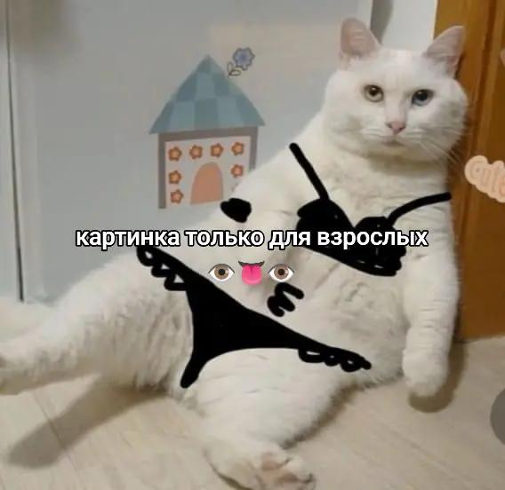 @ashhi