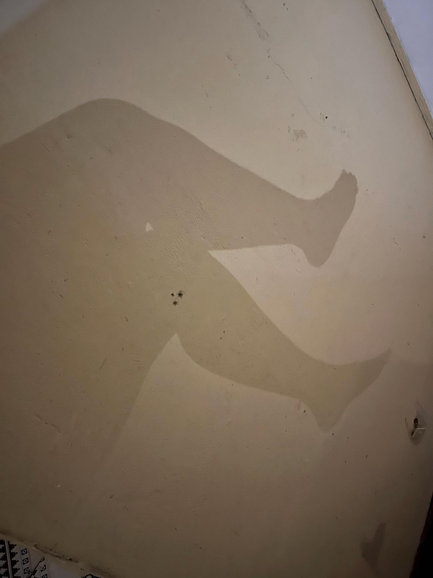 @༆𝐂𝐢𝐬𝐡𝐪𝐢༆